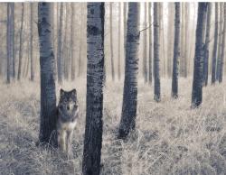 Just How I Like It: No One Around