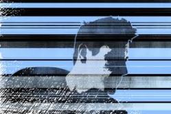 The Kelly Experience